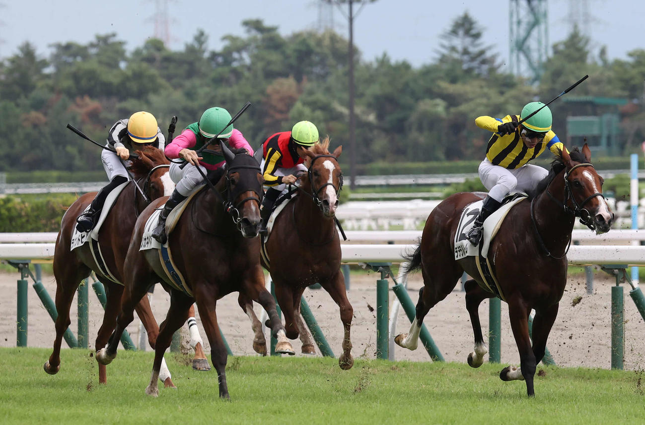 2歳新馬戦を制したミツカネベネラと津村騎手（左）。中央奥は8着のグランマエストロ（撮影・丹羽敏通）