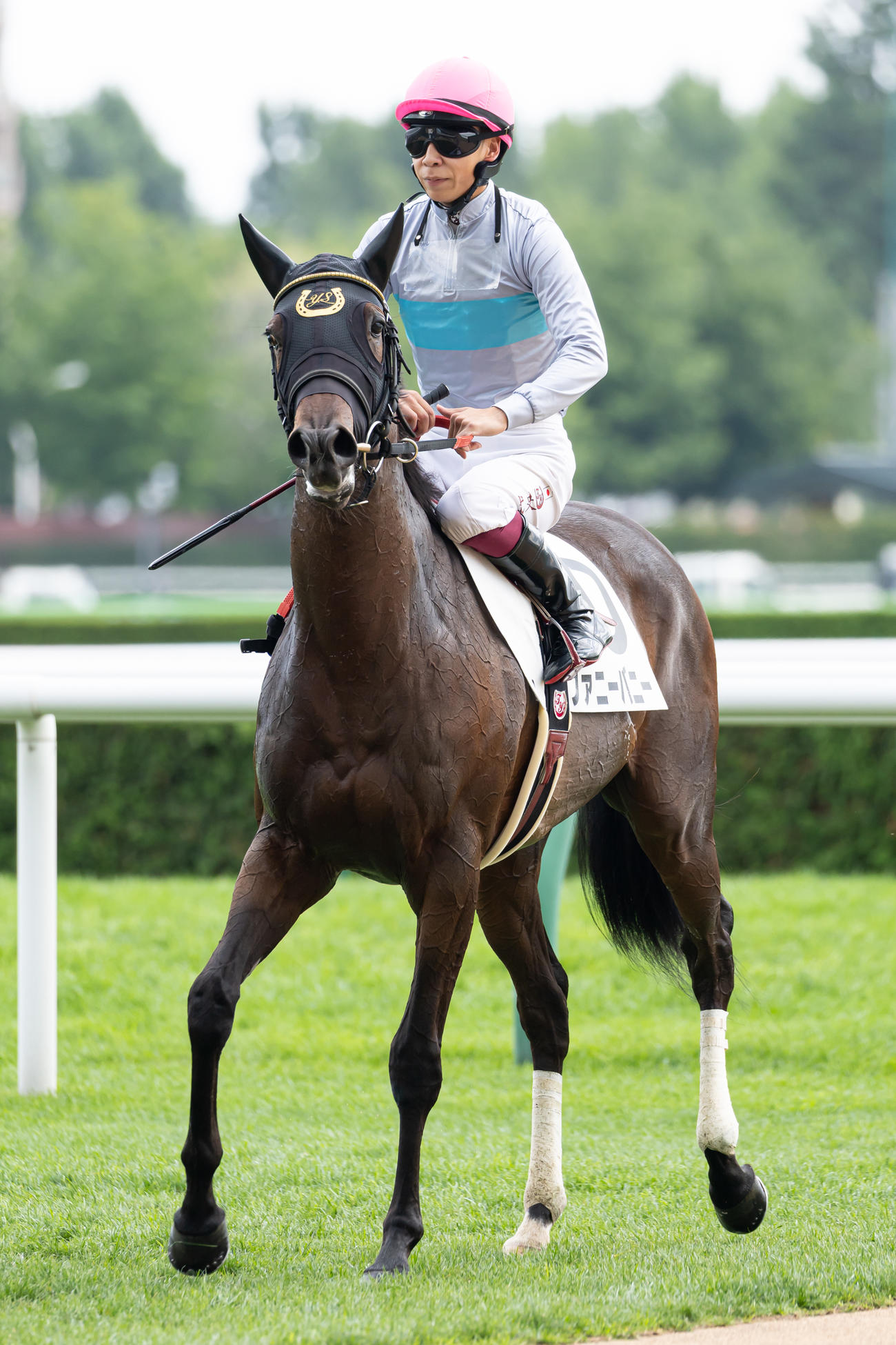 札幌1R、2歳未勝利を勝ち上がったファニーバニーと横山武騎手（撮影・村野早祐）