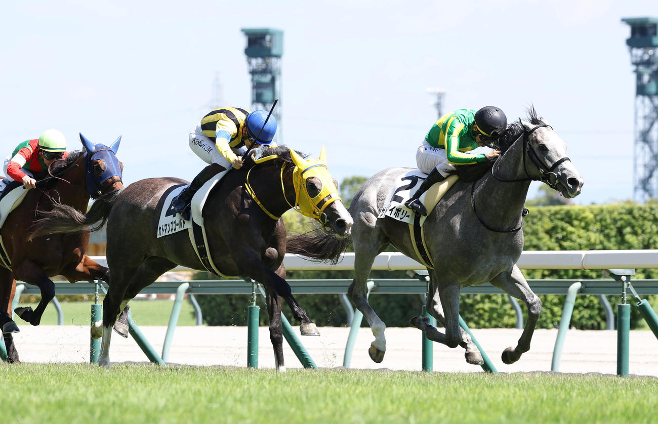 中京5R、直線抜け出して新馬戦を制したサトノアイボリー（右）（撮影・白石智彦）