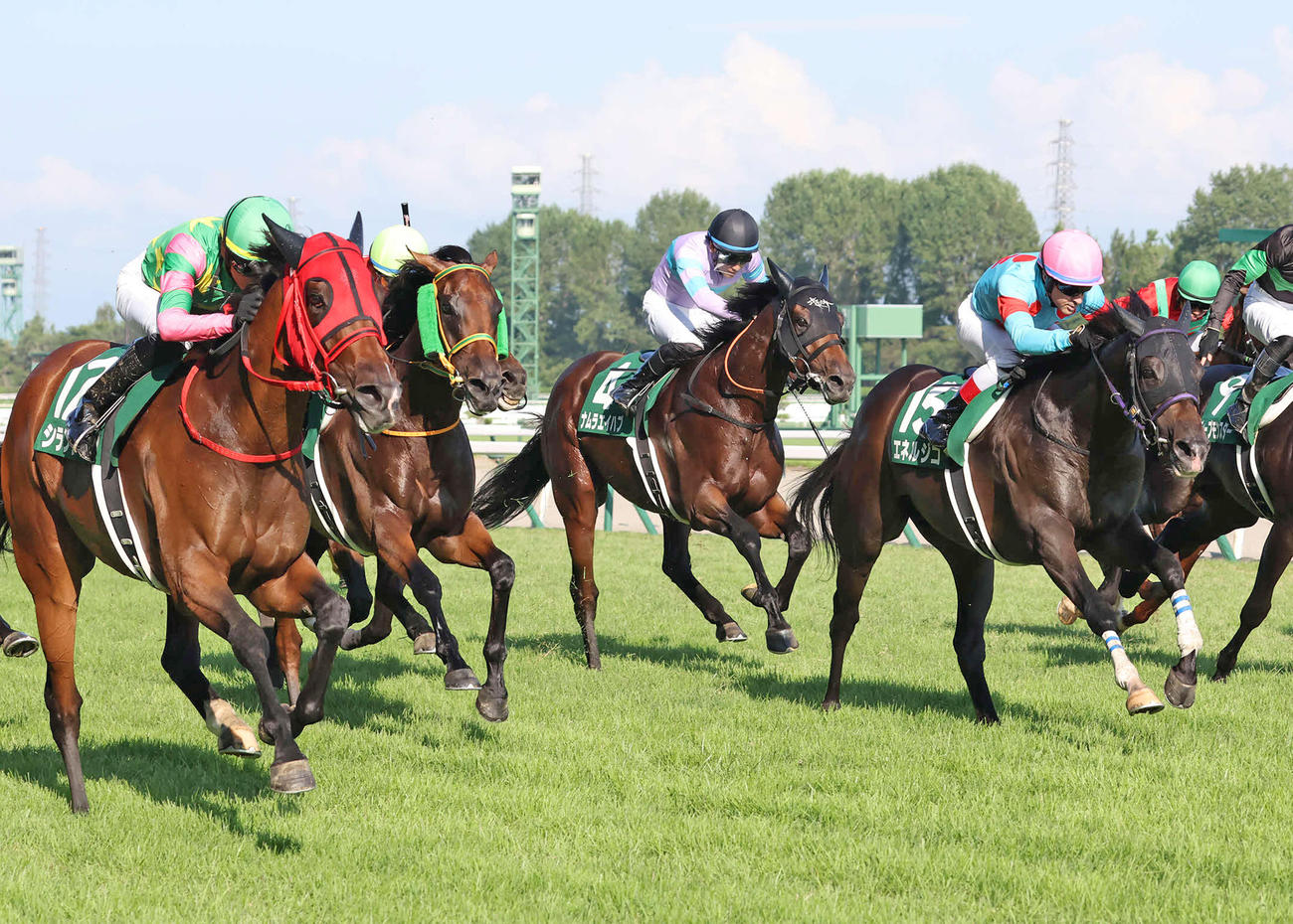 新潟記念2着に敗れたエネルジコ（右）。左は勝ったシランケド（撮影・丹羽敏通）