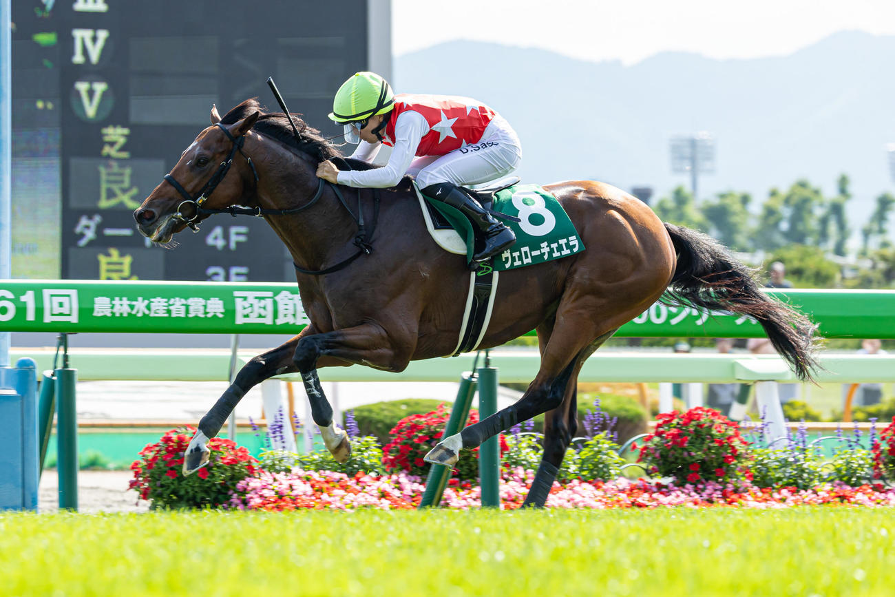函館記念をレコードタイムで制したヴェローチェエラ