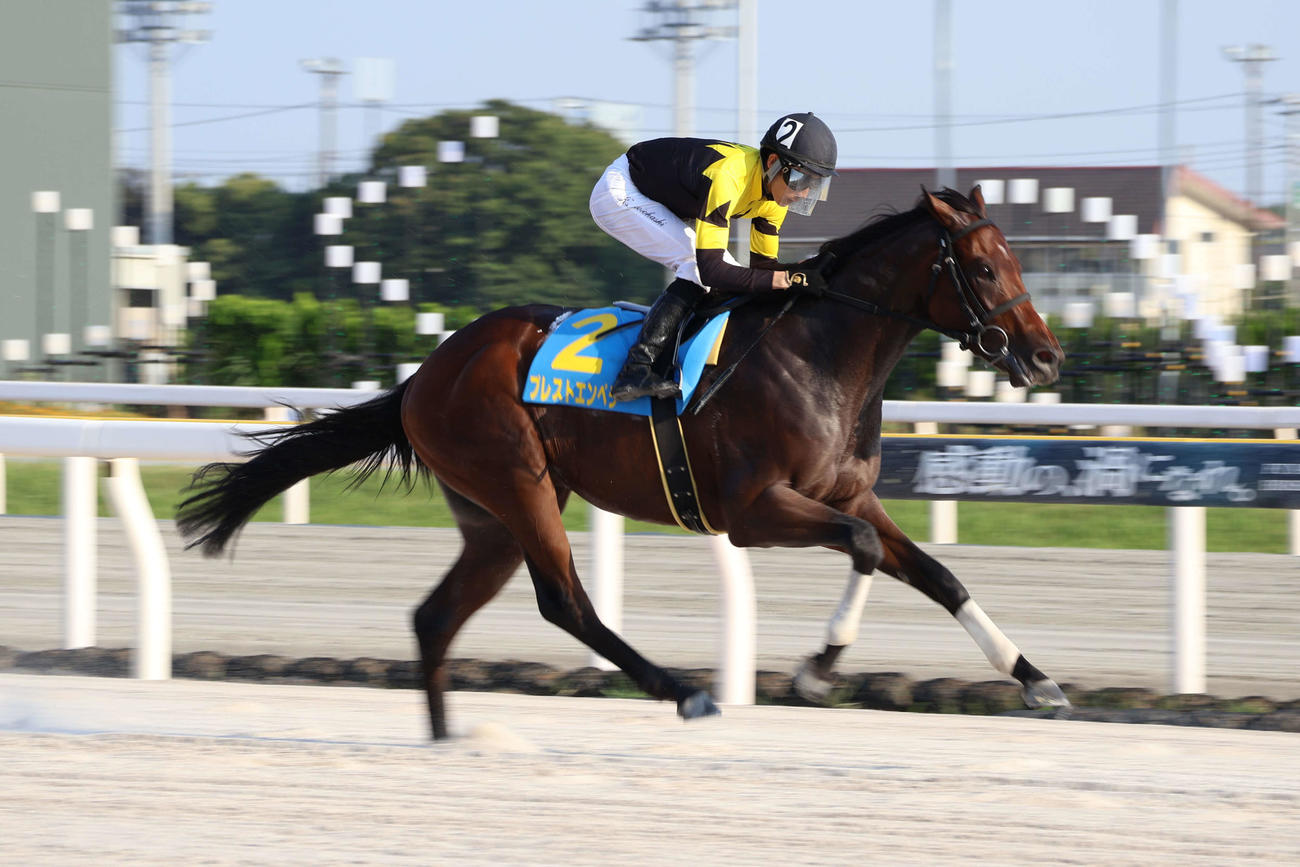 船橋4Rをプレストエンペラーで勝利した船橋の本橋孝太騎手は地方競馬通算1300勝を達成