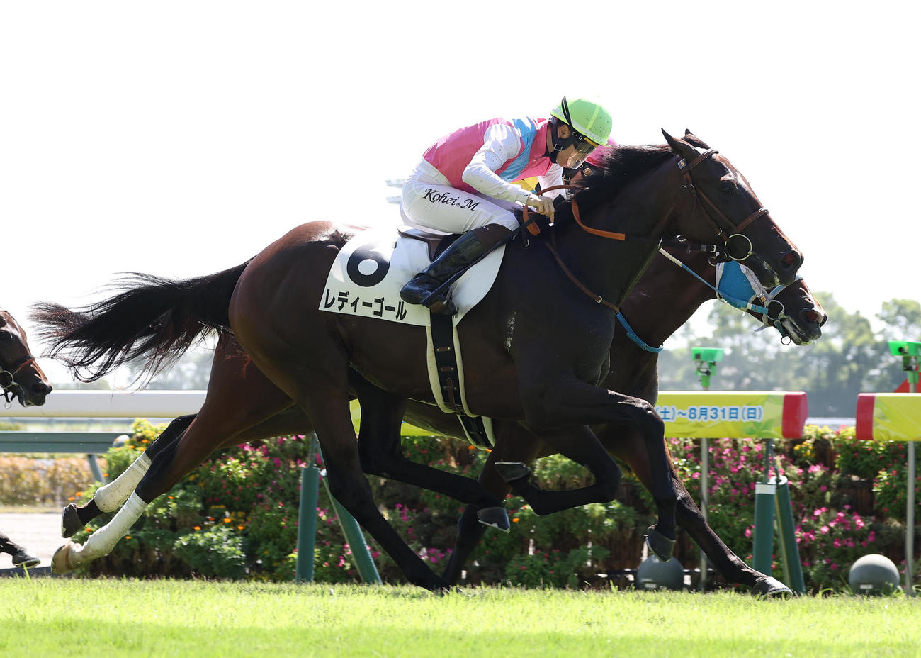 中京1R、2歳未勝利を勝ち上がったレディーゴール（撮影・白石智彦）
