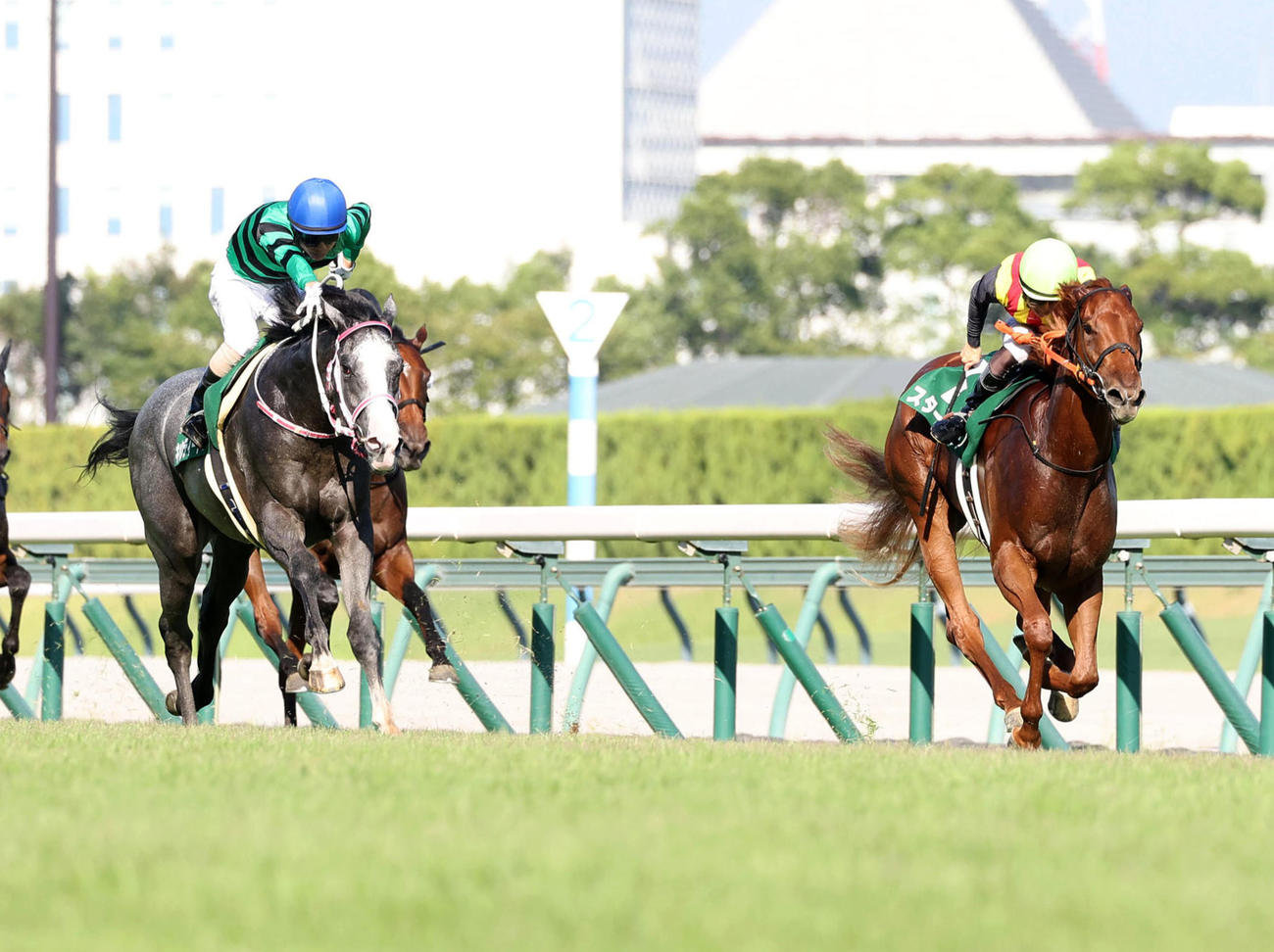 中京11R、スターアニス（右）を差し切って中京2歳Sを制したキャンディード（撮影・白石智彦）