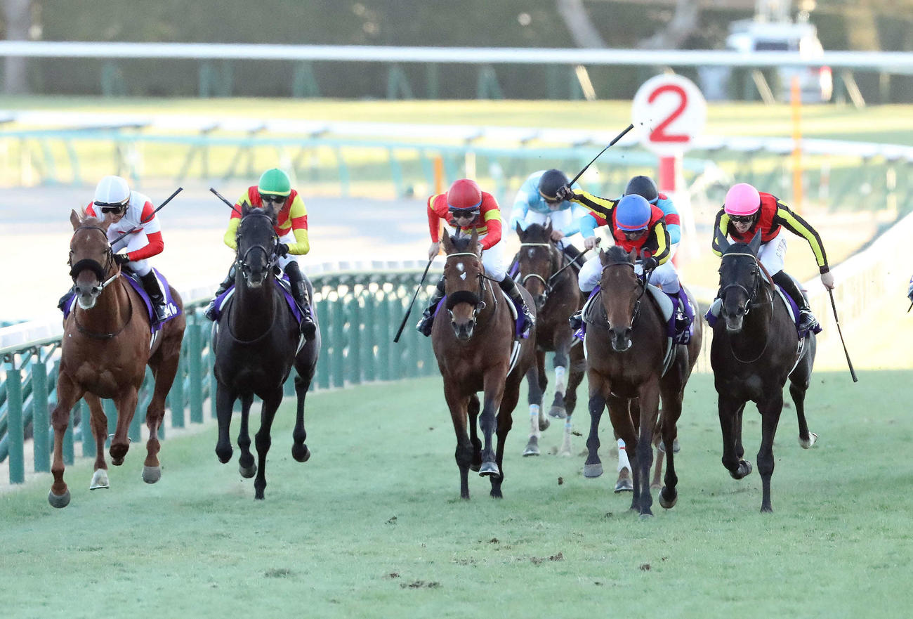 2024年の有馬記念
