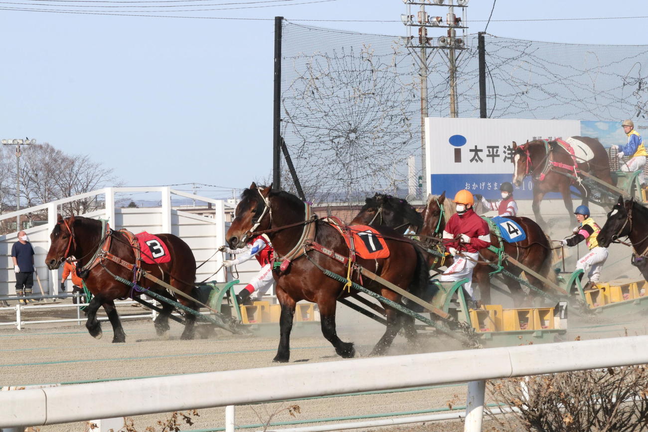 ばんえい競馬