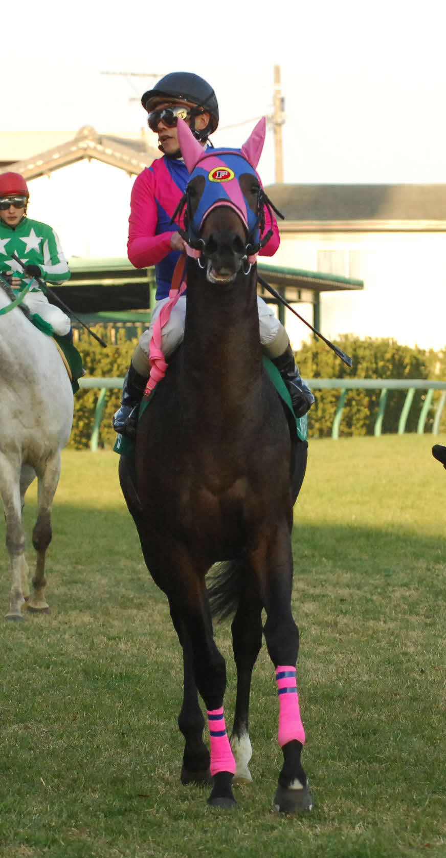 08年、日刊スポーツ賞中山金杯　3着に逃げ粘ったメイショウレガーロと田中勝春騎手