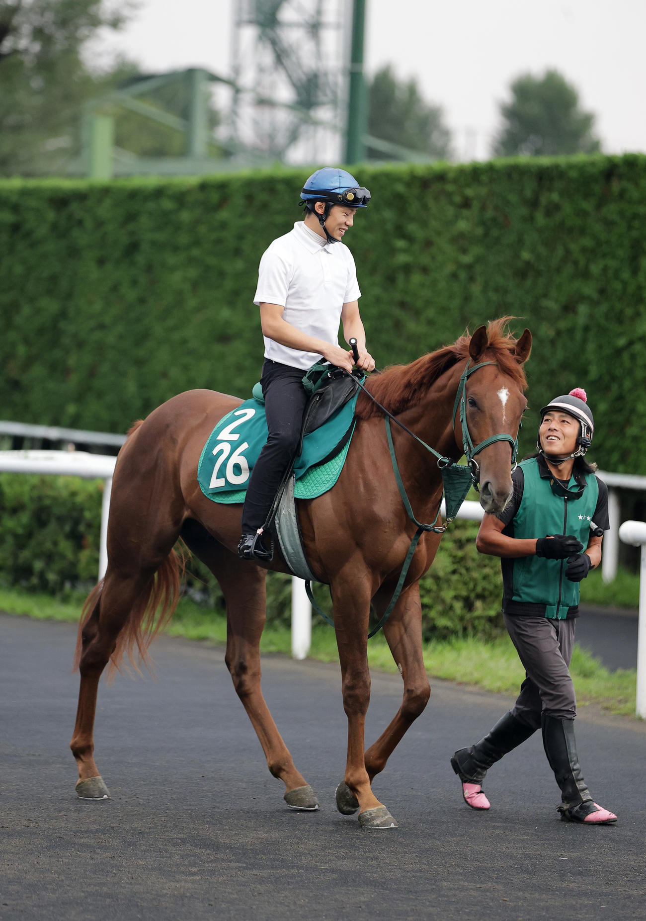 札幌競馬場で調整するアーレムアレス