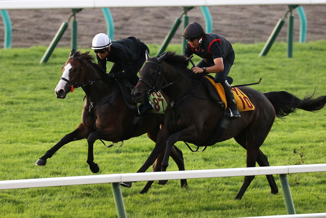 石橋脩騎手を背に、札幌芝コースで併せ馬で併追い切られるオブラプリーマ（左）