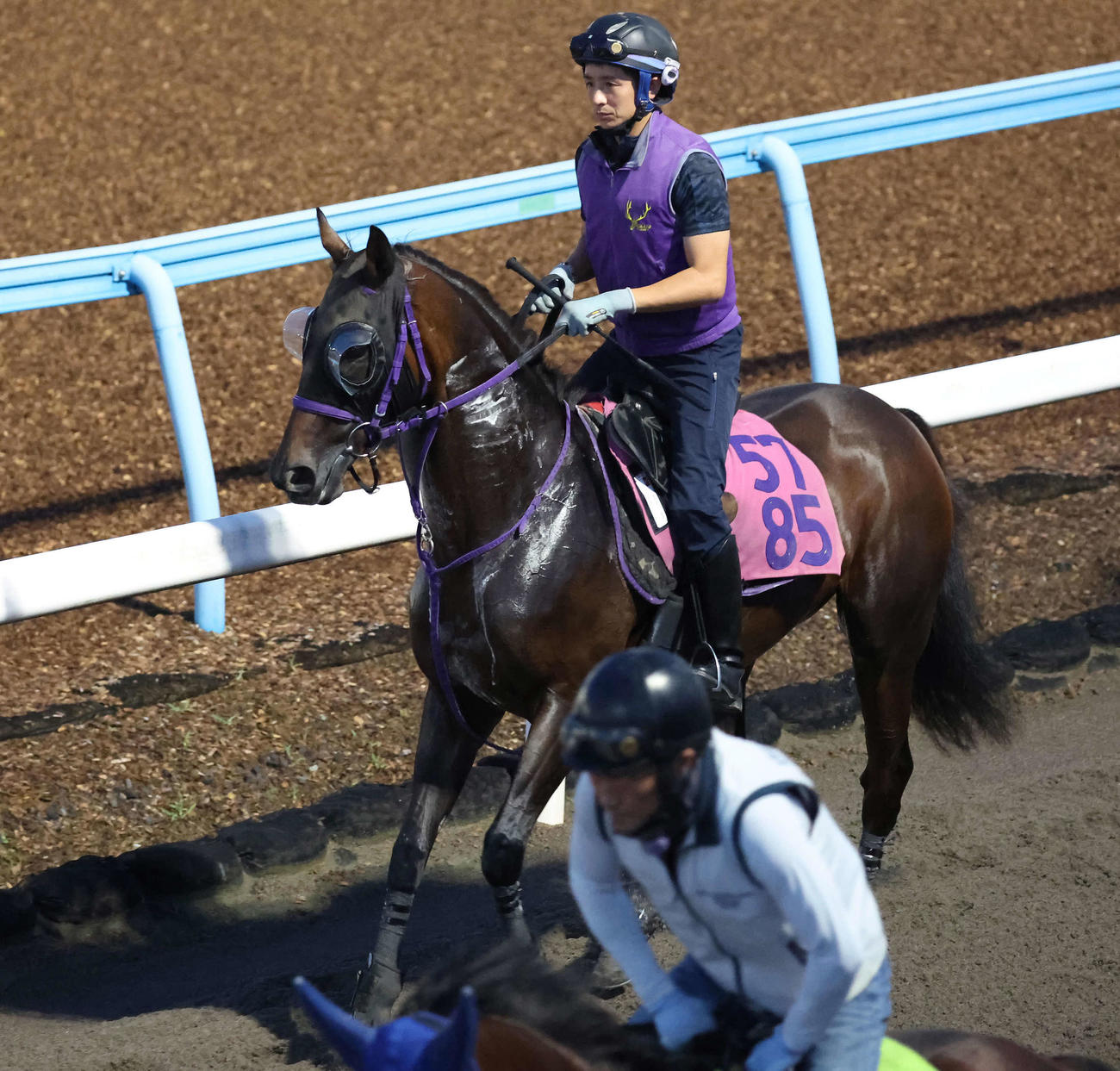 ダートコースで運動するジョスラン（撮影・丹羽敏通）