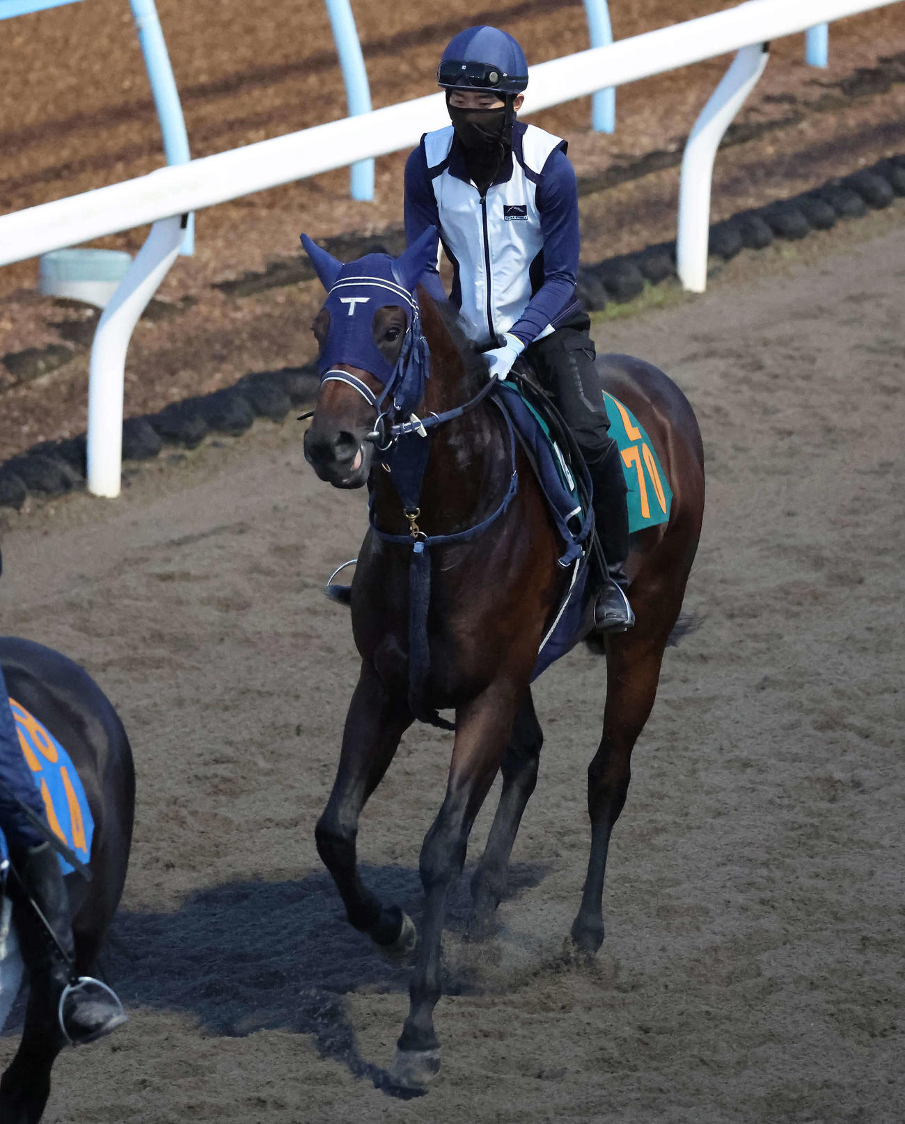 ダートコースで運動するソラネルマンと嶋田騎手（撮影・丹羽敏通）