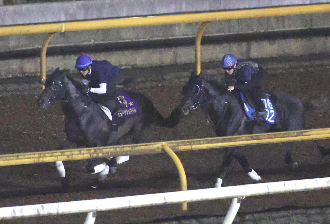 戸崎圭太騎手を背にCウッドでブルーワール（右）と併せ馬で追い切られるミュージアムマイル