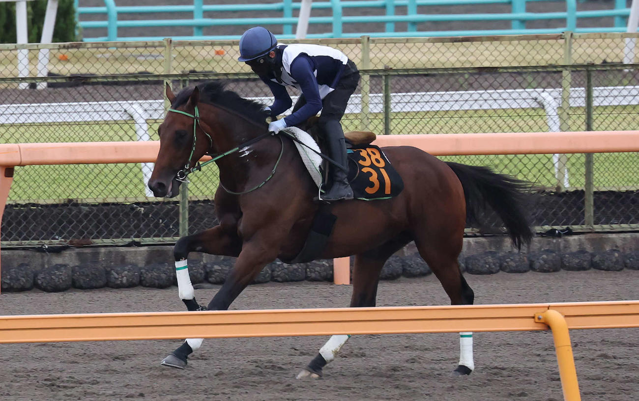 ダートコースで運動するレッドバンデ（撮影・丹羽敏通）
