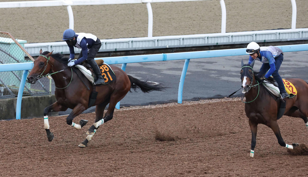 レッドバンデ（左）は嶋田騎手を背に美浦ウッドでレイククレセントらと併せて追い切られた（撮影・丹羽敏通）