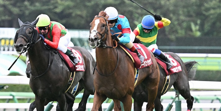 セントライト記念を制したアーバンシック（手前右）＝２０２４年９月16日、中山競馬場
