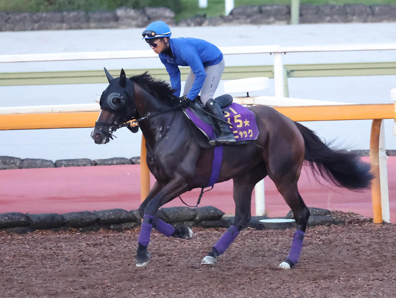 Cウッドコースに馬場入りするカムニャック
