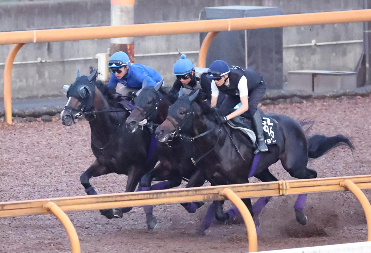 Cウッドコースにて3頭併せで追いきるカムニャック
