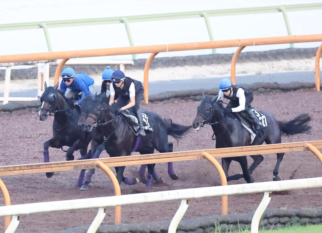 Cウッドコースにて3頭併せで追いきるカムニャック
