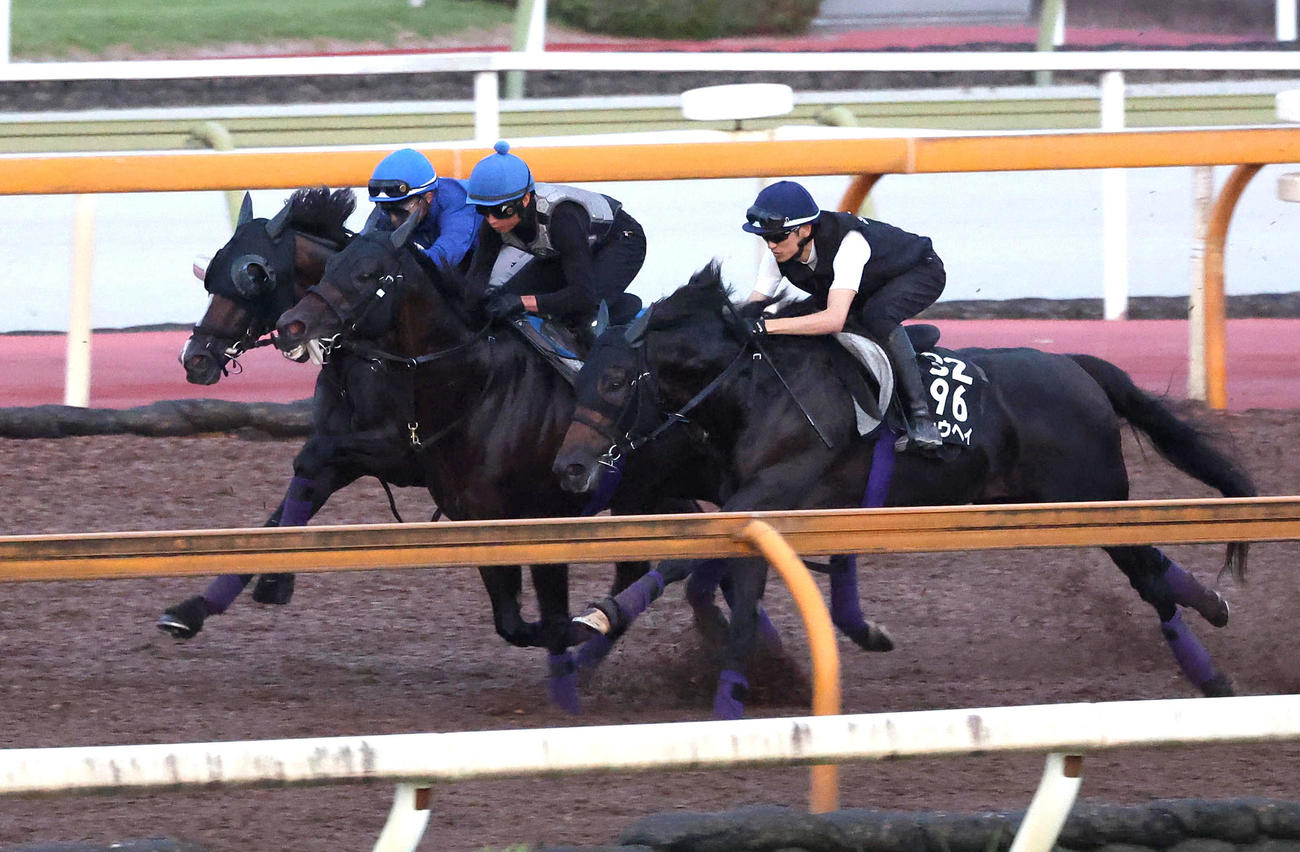 西塚騎手を背にCウッドをヨーホーレイク（中央）、ショウヘイ（右）と3頭併せで追い切るカムニャック（撮影・白石智彦）
