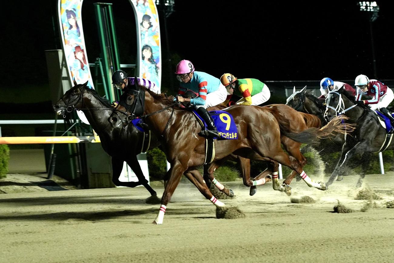 サマーチャンピオンを制したヤマニンチェルキ（手前）（佐賀県競馬組合提供）