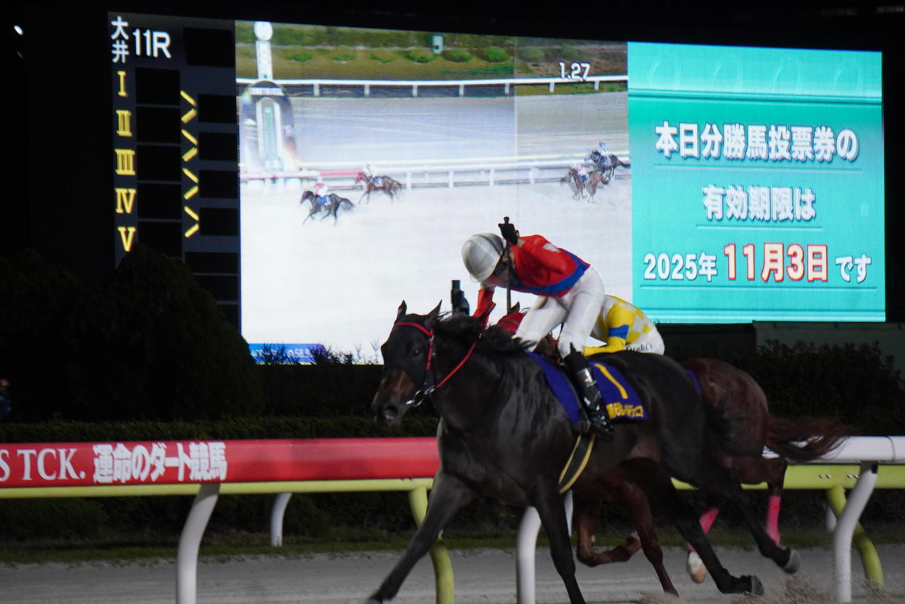 ゴールドジュニアを制したゴーバディと吉井騎手