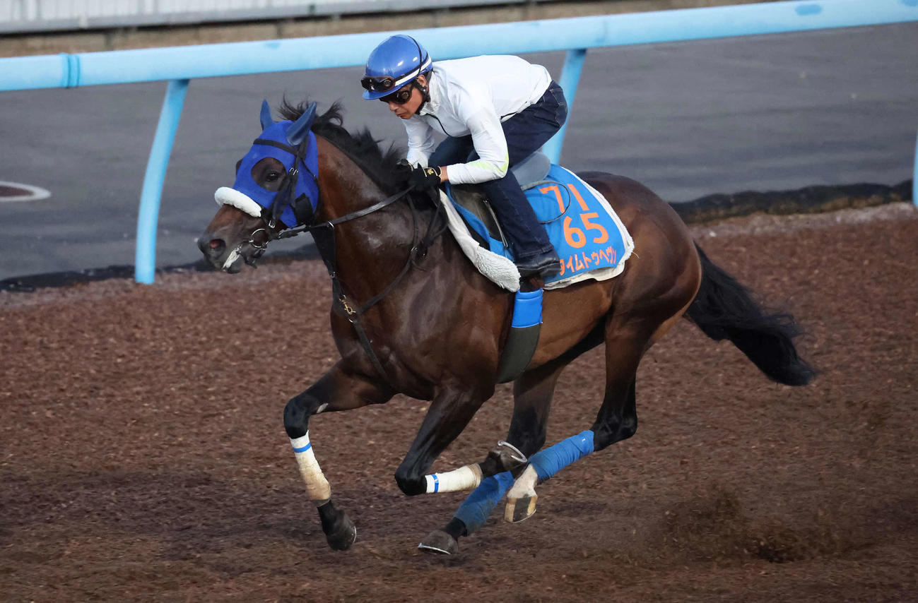 3日、美浦ウッドでタイムトゥヘヴンの最終追い切りに騎乗した柴田善騎手（撮影・丹羽敏通）