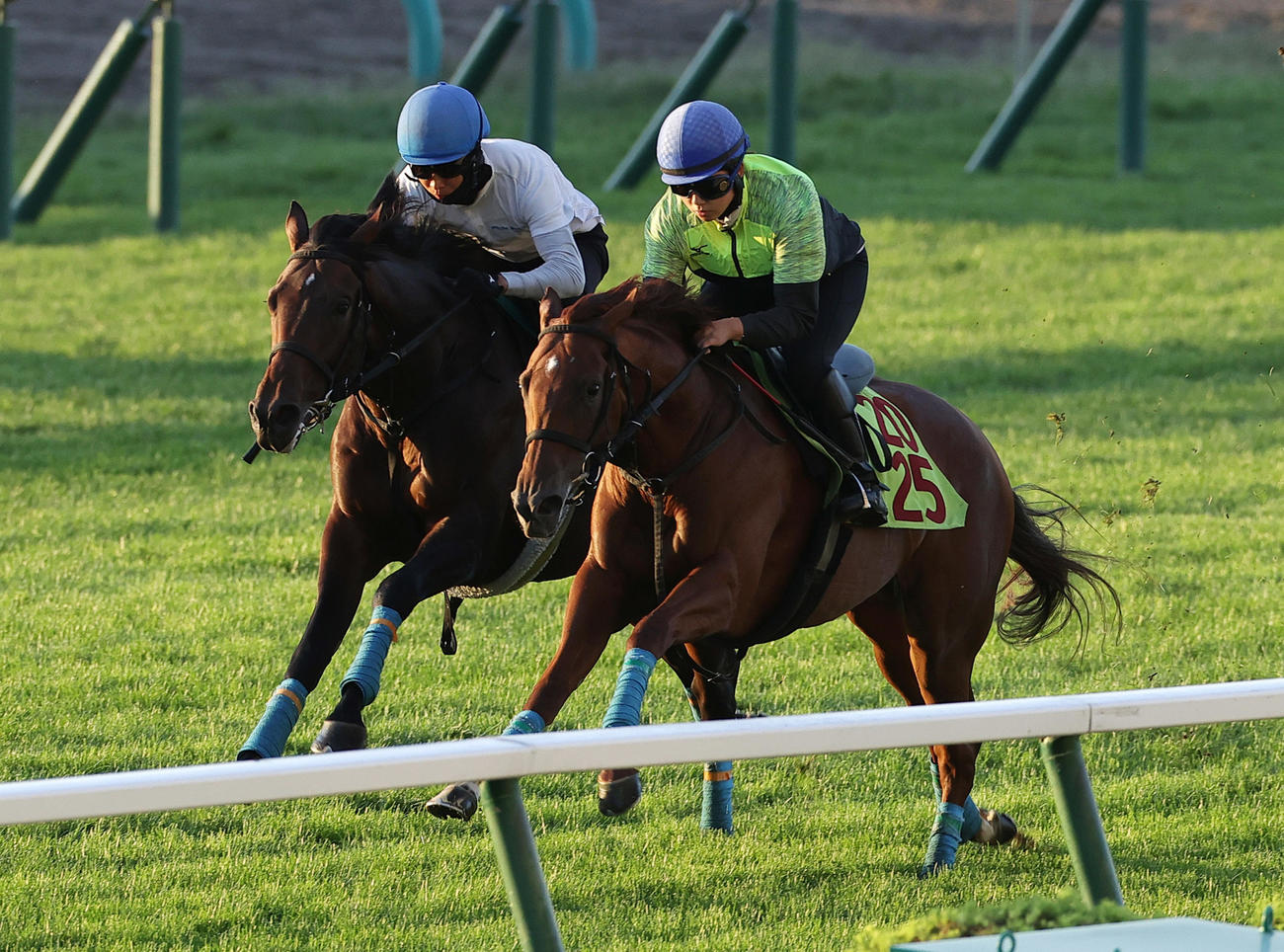 札幌芝コースで併せ馬を行うニルマーネル（右）