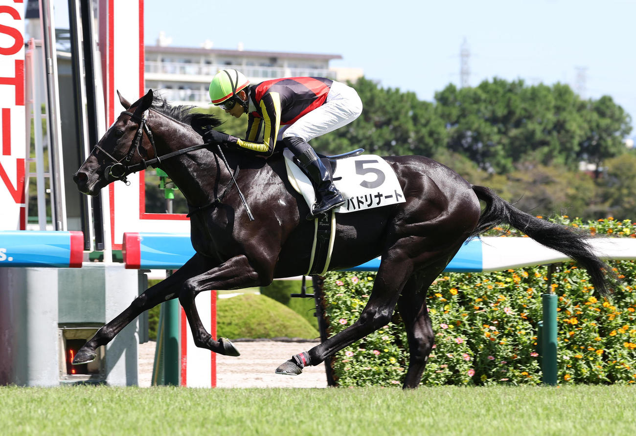 阪神2R、バドリナートで2歳未勝利を制してJRA通算600勝を達成した坂井瑠星騎手（撮影・白石智彦）