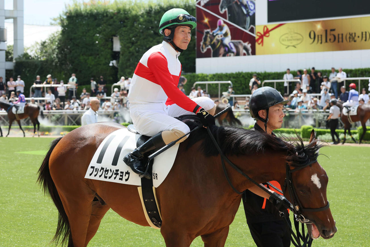 中山5R、柴田善騎手は2歳新馬戦でフックセンチョウに騎乗してレースに復帰した（撮影・丹羽敏通）