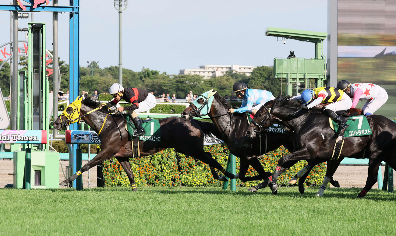京成杯AHを制したホウオウラスカーズと木幡巧騎手（左）（撮影・丹羽敏通）