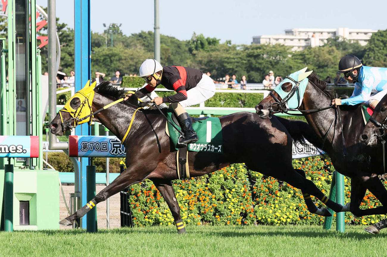 京成杯AHを制したホウオウラスカーズと木幡巧騎手（撮影・丹羽敏通）