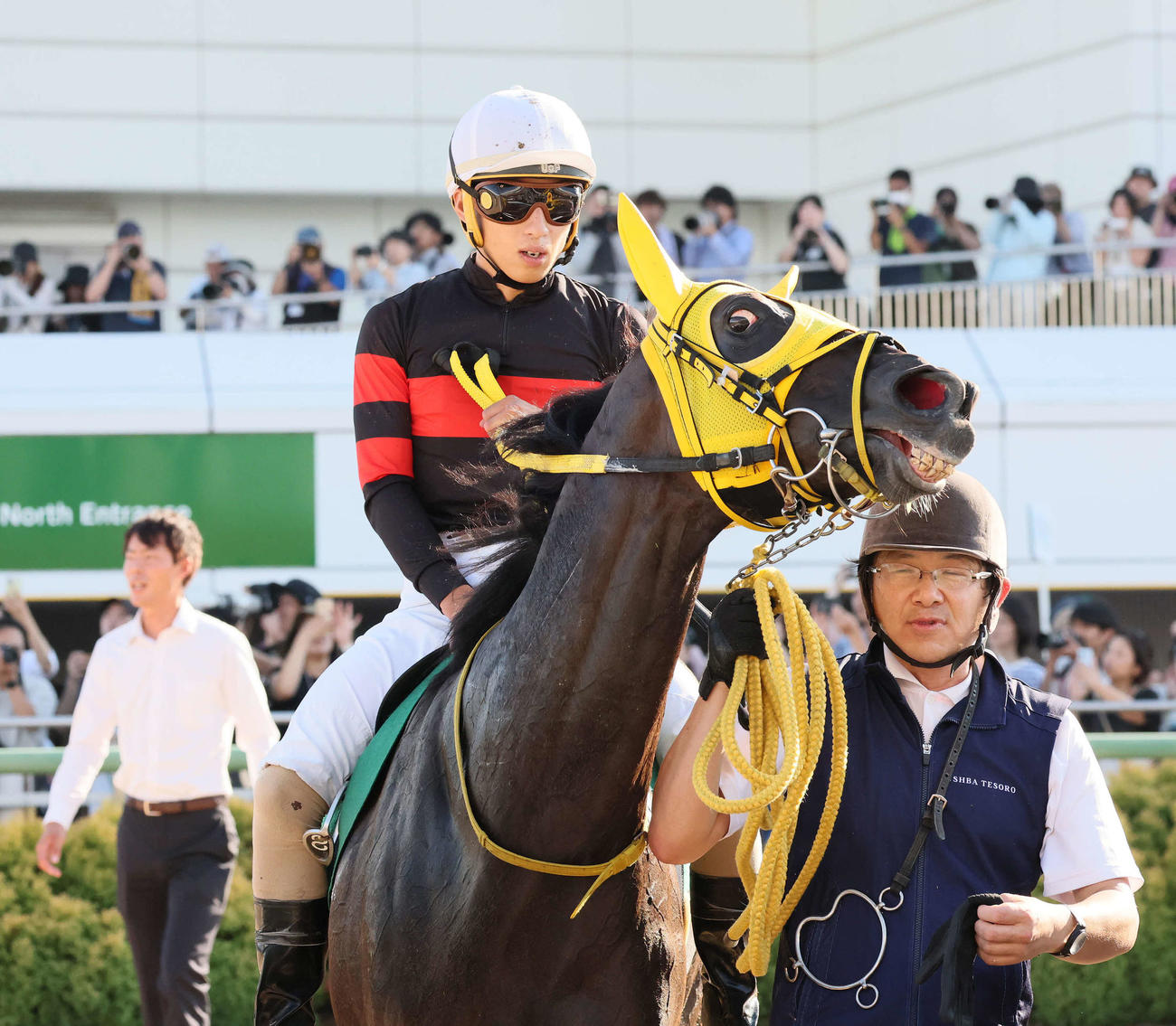 京成杯AHを制したホウオウラスカーズと木幡巧騎手（撮影・丹羽敏通）