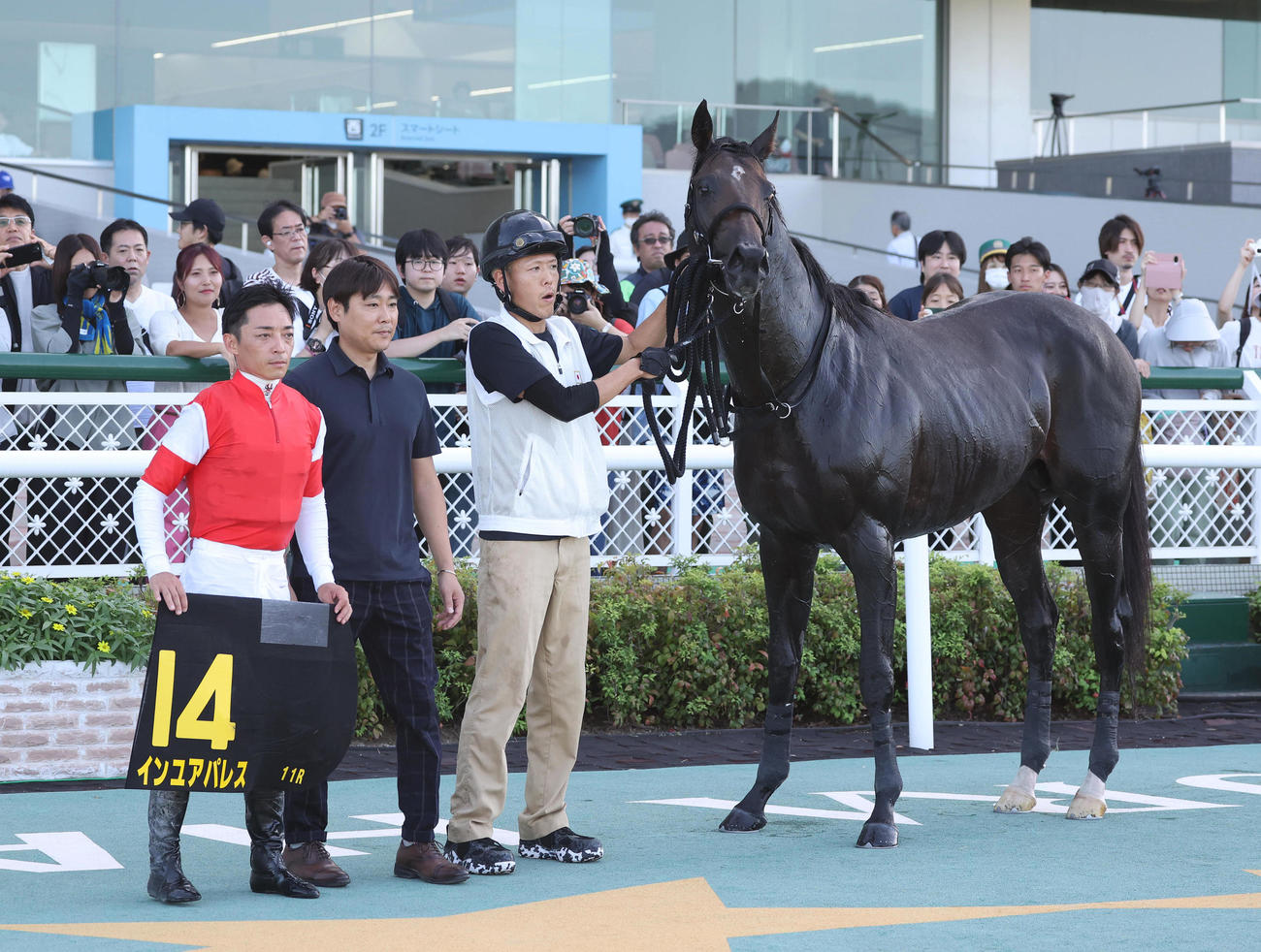 阪神11R、エニフSを制したインユアパレスと口取りに並ぶ川田騎手（左）（撮影・白石智彦）