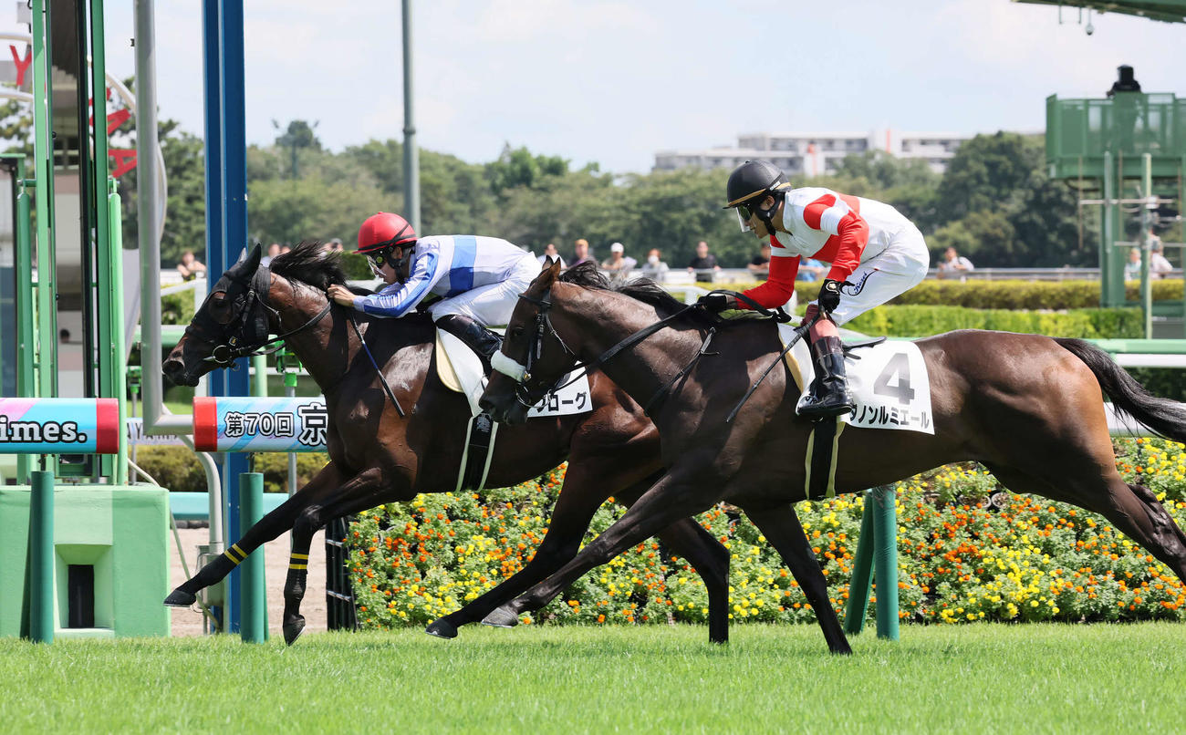 中山5R、2歳新馬戦を制したランプローグと石田騎手（左）（撮影・丹羽敏通）