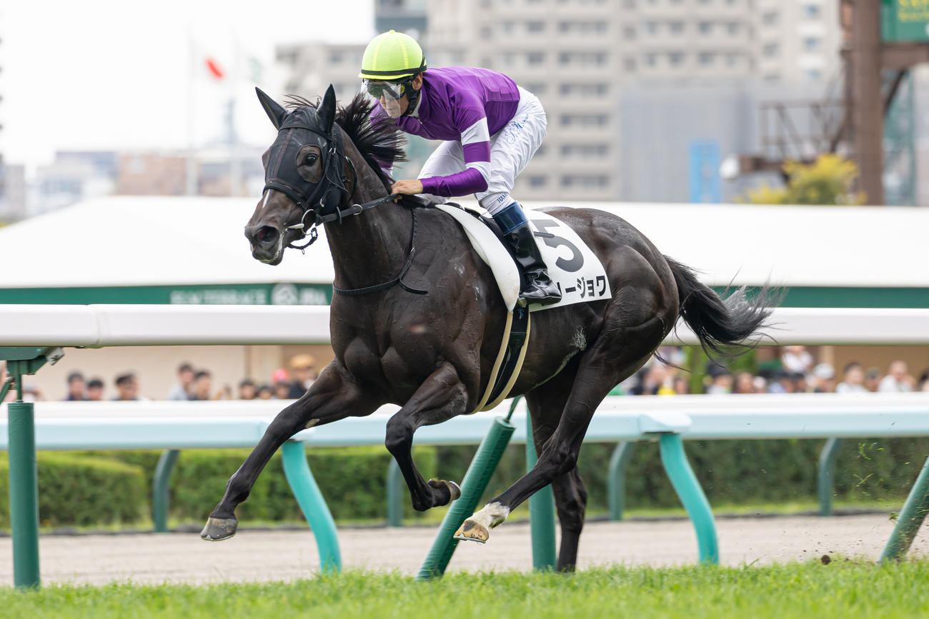 札幌5R、デビュー戦を制したリリージョワと浜中騎手（撮影・村野早祐）