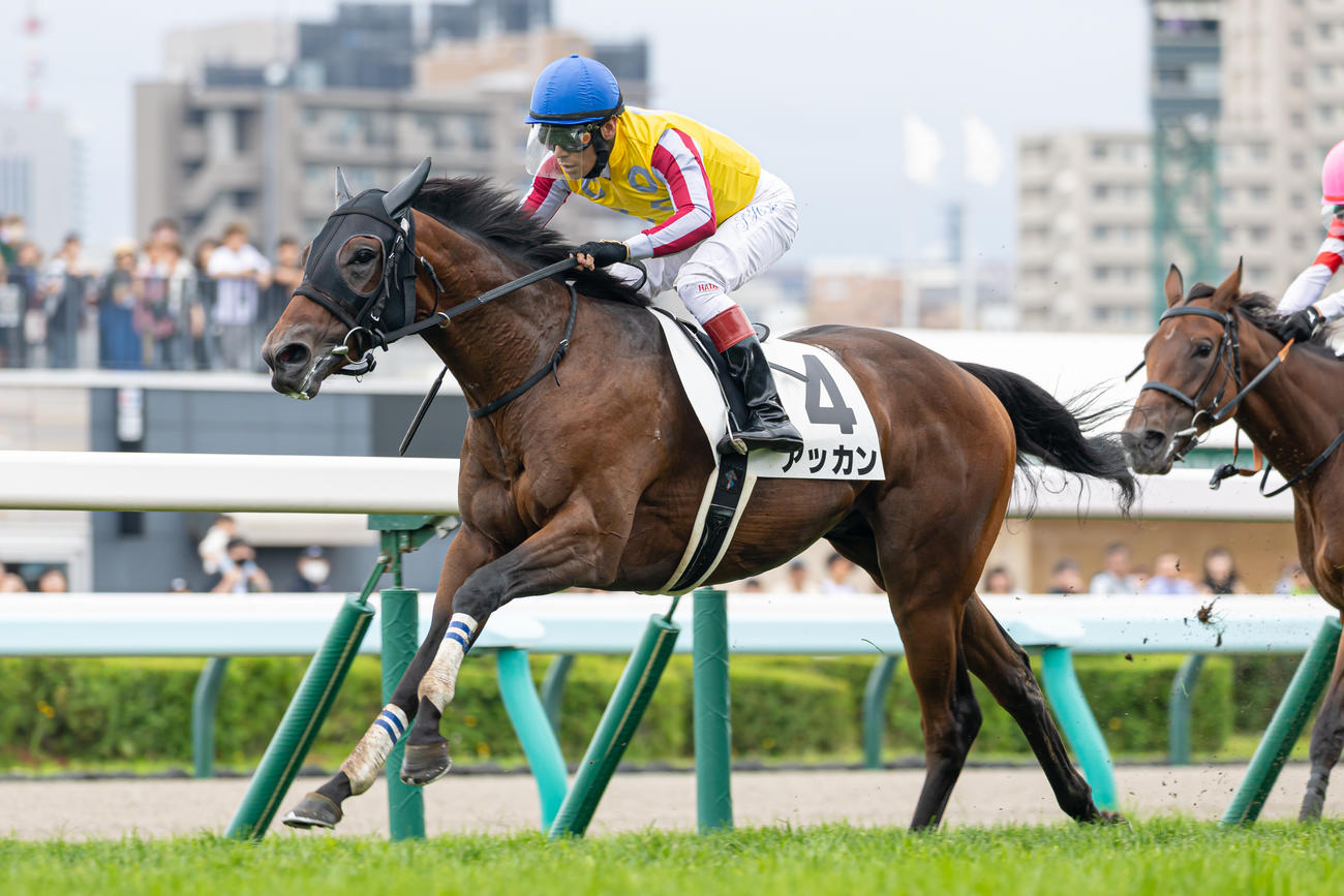 札幌2R、2歳未勝利を勝ち上がったアッカンと浜中騎手（撮影・村野早祐）