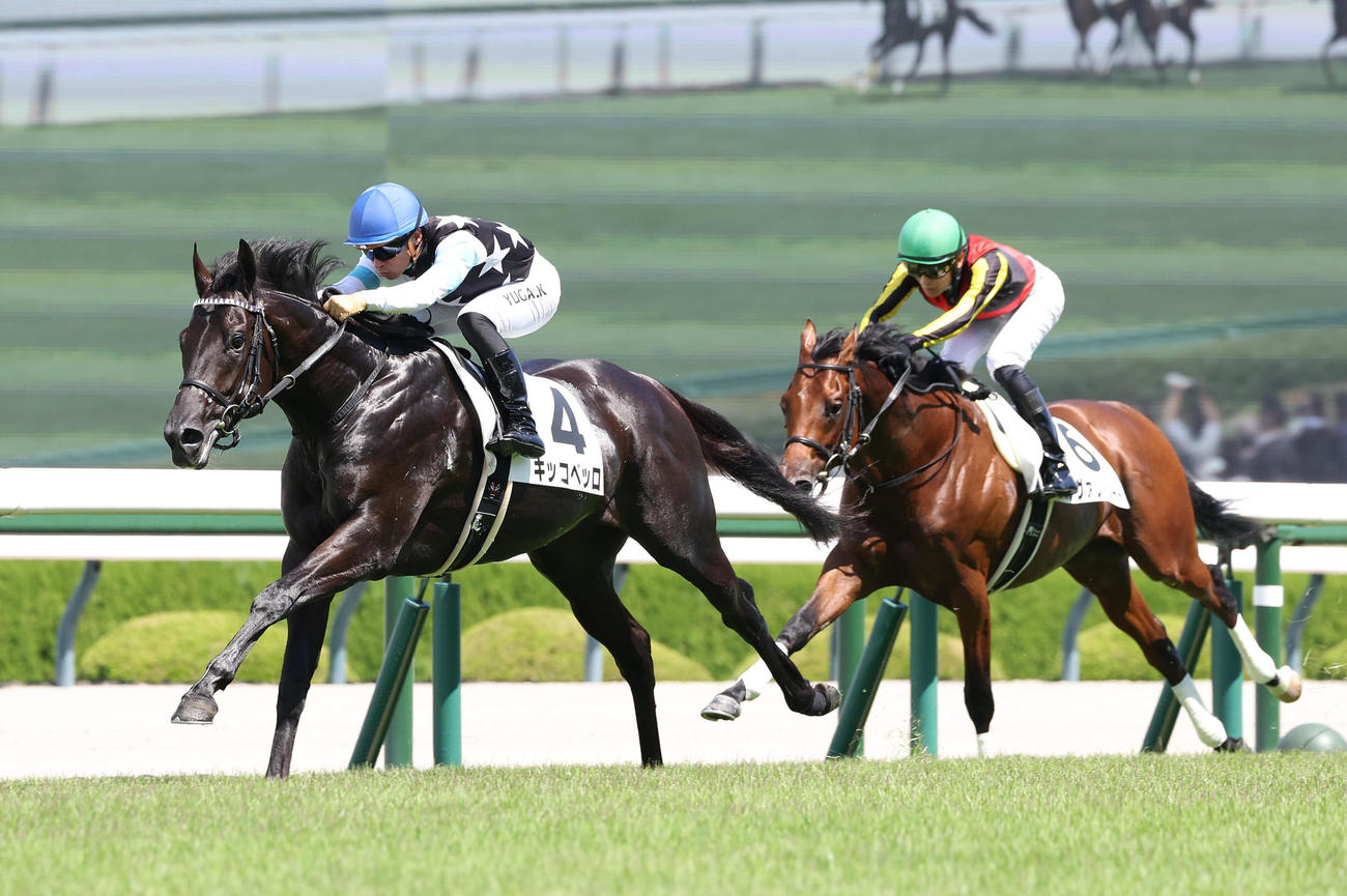 阪神5R、新馬戦を快勝したキッコベッロ（左）（撮影・白石智彦）