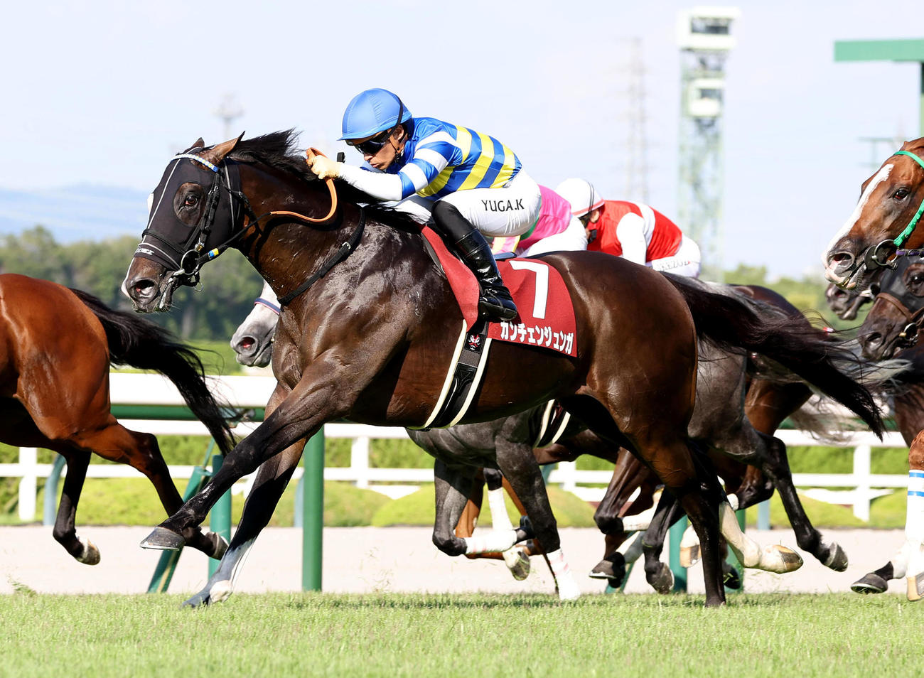 阪神11R、直線外から伸びてセントウルSを制したカンチェンジュンガ（撮影・白石智彦）
