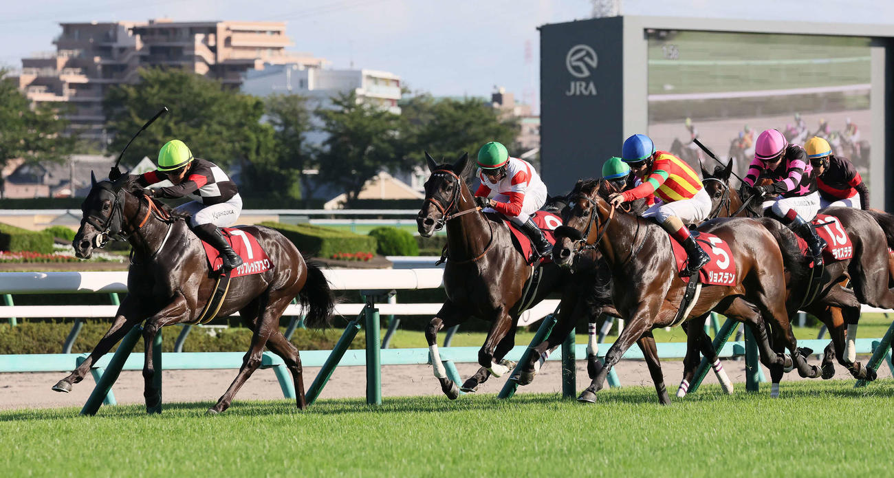ジョスラン（右）の追い上げをしのいで紫苑Sを制したケリフレッドアスクと西塚騎手（左）。中央は3着ダノンフェアレディ（撮影・丹羽敏通）