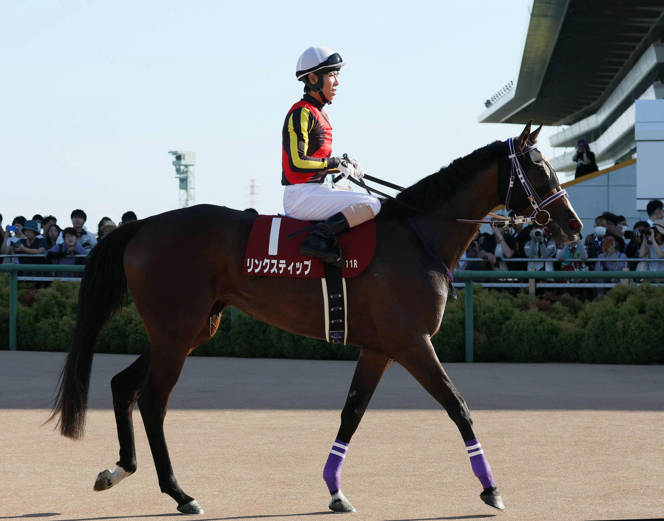 中山11R、紫苑Sで1番人気に応えられず8着に敗れたリンクスティップと北村友騎手（撮影・丹羽敏通）