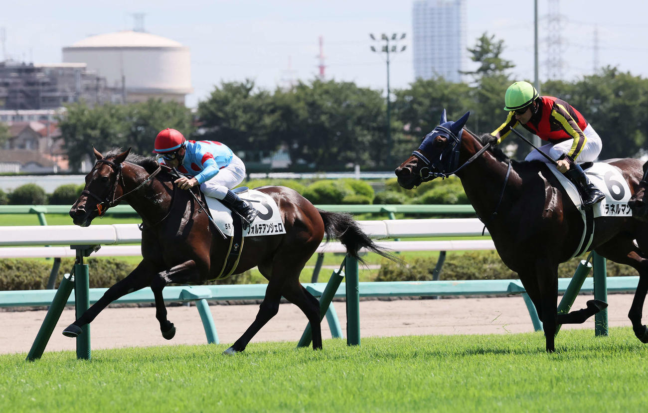 中山5R、2歳新馬戦を制したフォルテアンジェロと戸崎騎手（撮影・丹羽敏通）