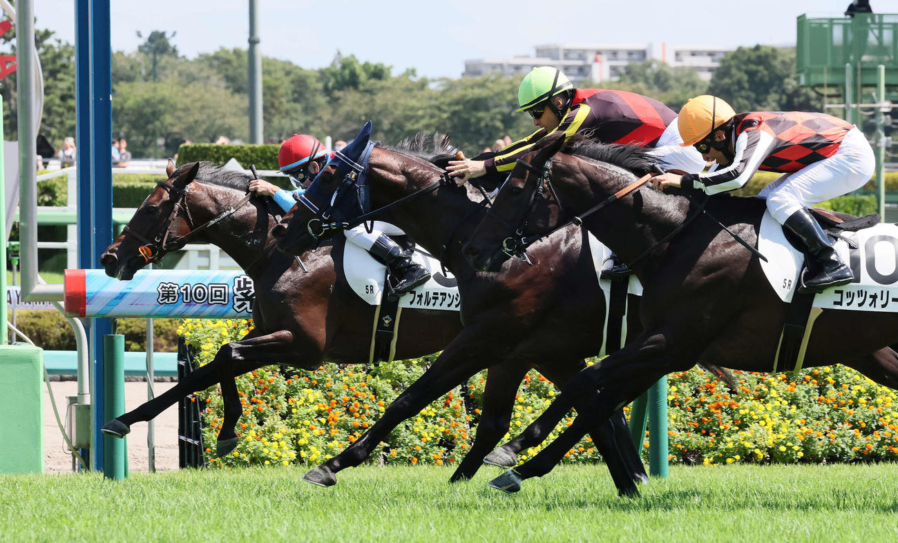 中山5R、2歳新馬戦を制したフォルテアンジェロと戸崎騎手（奥）（撮影・丹羽敏通）