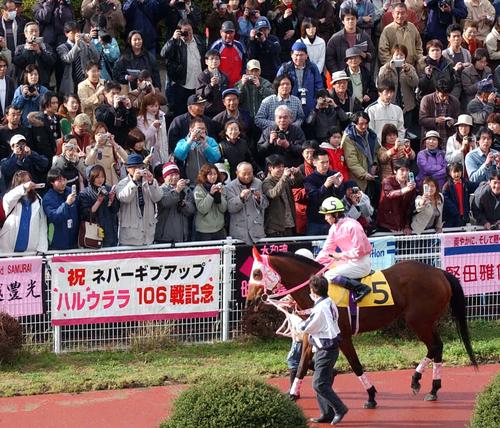 武豊が騎乗しても勝てなかった負け組の星ハルウララ死す 29歳 競馬0勝