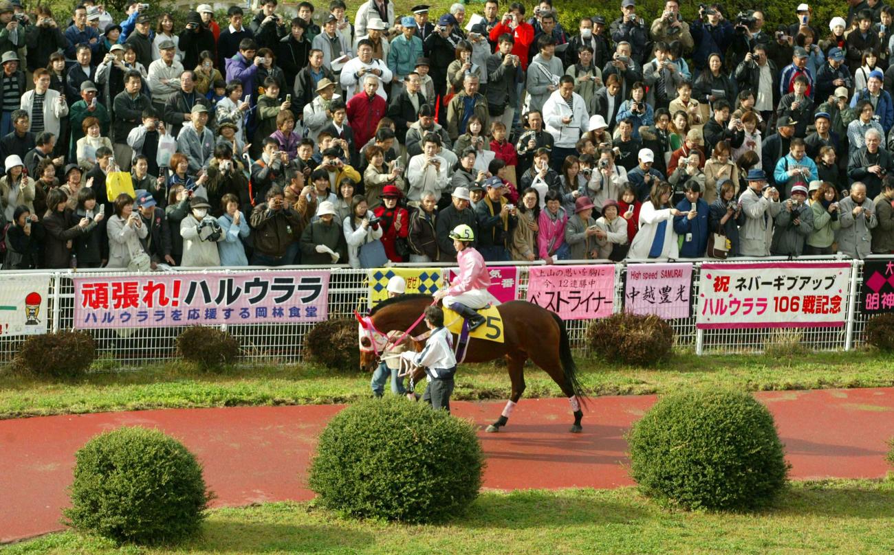 04年3月、YSダービージョッキー特別で武豊騎手を背にファンの声援受けパドックを周回するハルウララ