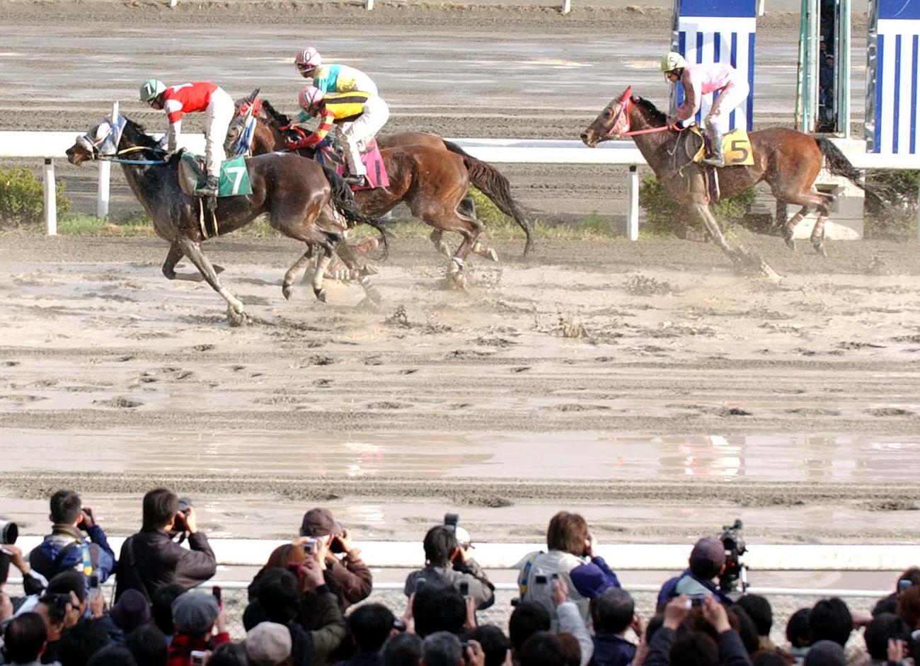 04年、道悪の馬場を圧倒的大差でブービーの10着に沈んだ武豊騎乗のハルウララ（右＝5番）