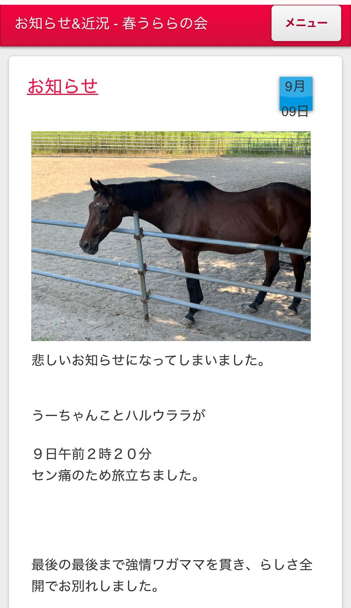 マーサファーム公式HPがハルウララを追悼