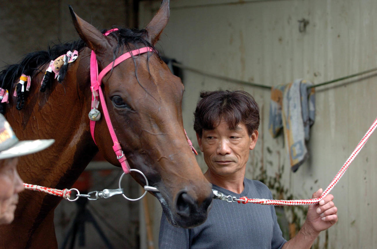 04年6月、初勝利ならず5着に終わったハルウララは111連敗。右は宗石調教師
