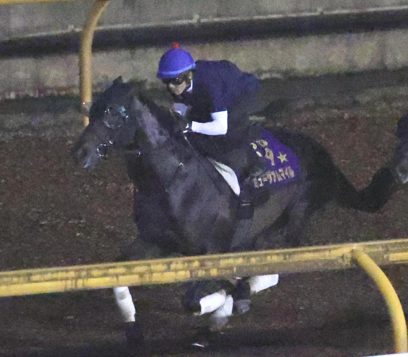 9月4日、戸崎騎手を背にCWコースで併せて追いきるミュージアムマイル