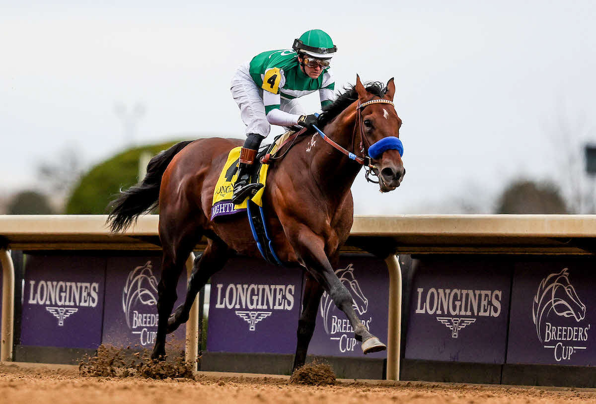 BCクラシックを制したフライトライン（（C）Carolyn Simancik／Eclipse Sportswire／Breeders Cup）