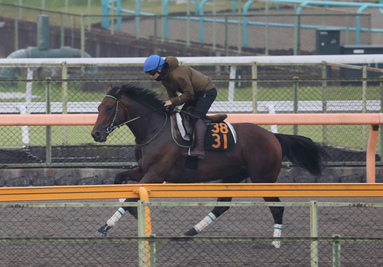 ダートコースで運動するレッドバンデと佐々木騎手（撮影・丹羽敏通）